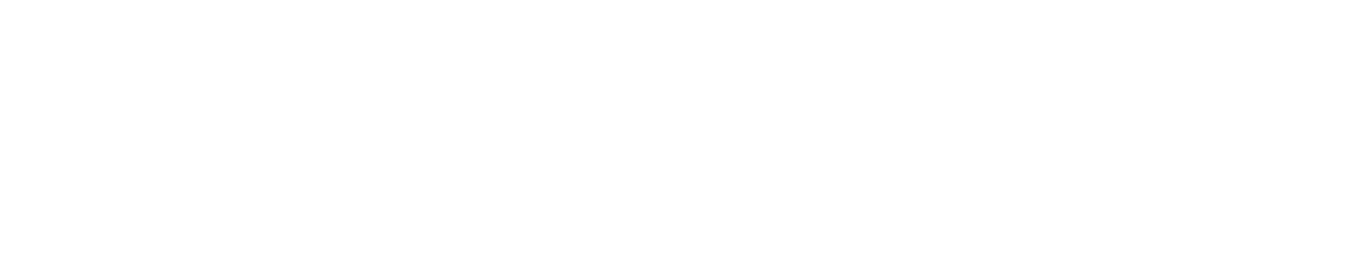 NEONTRIP Logo